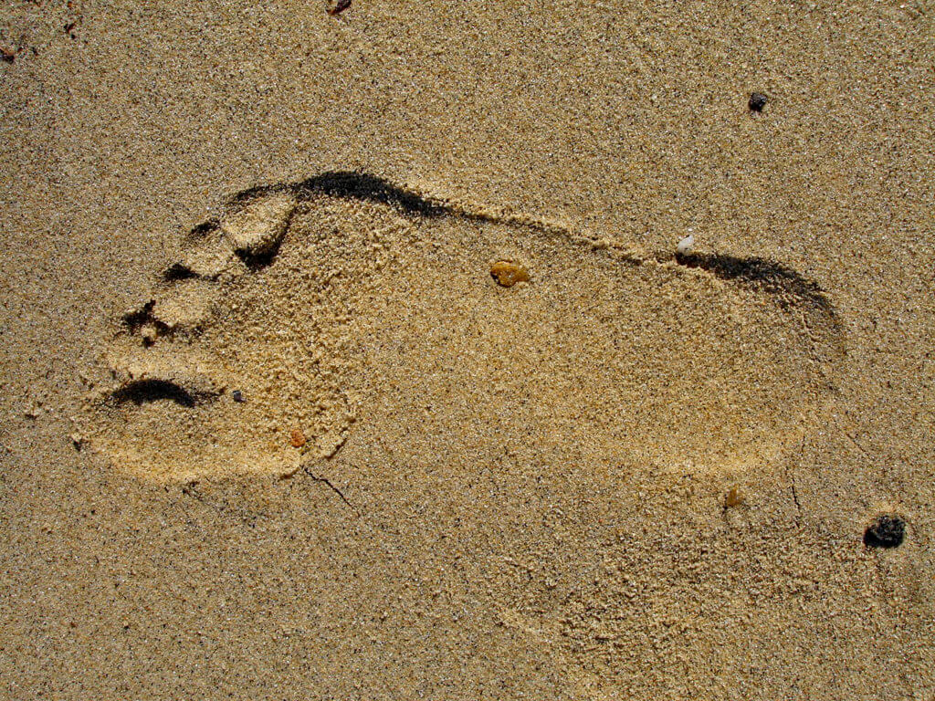 Plantar Warts | Verruca