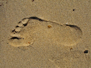 Plantar Warts | Verruca